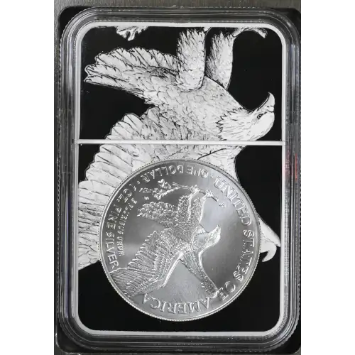 2025(P) Eagle Privy (3)