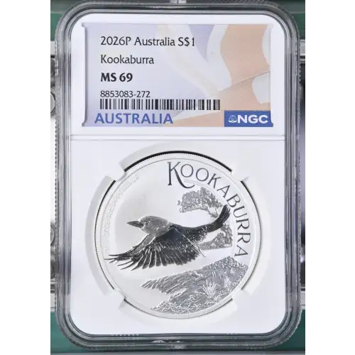 2026P Kookaburra (2)