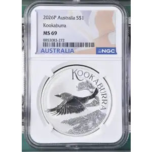 2026P Kookaburra (2)